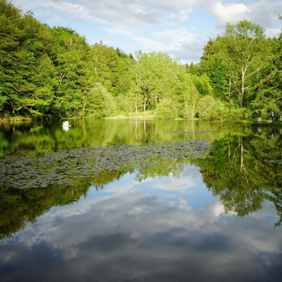 Le Crusoe A L'Etang D'Anty - Appartement Saint-Nabord エクステリア 写真