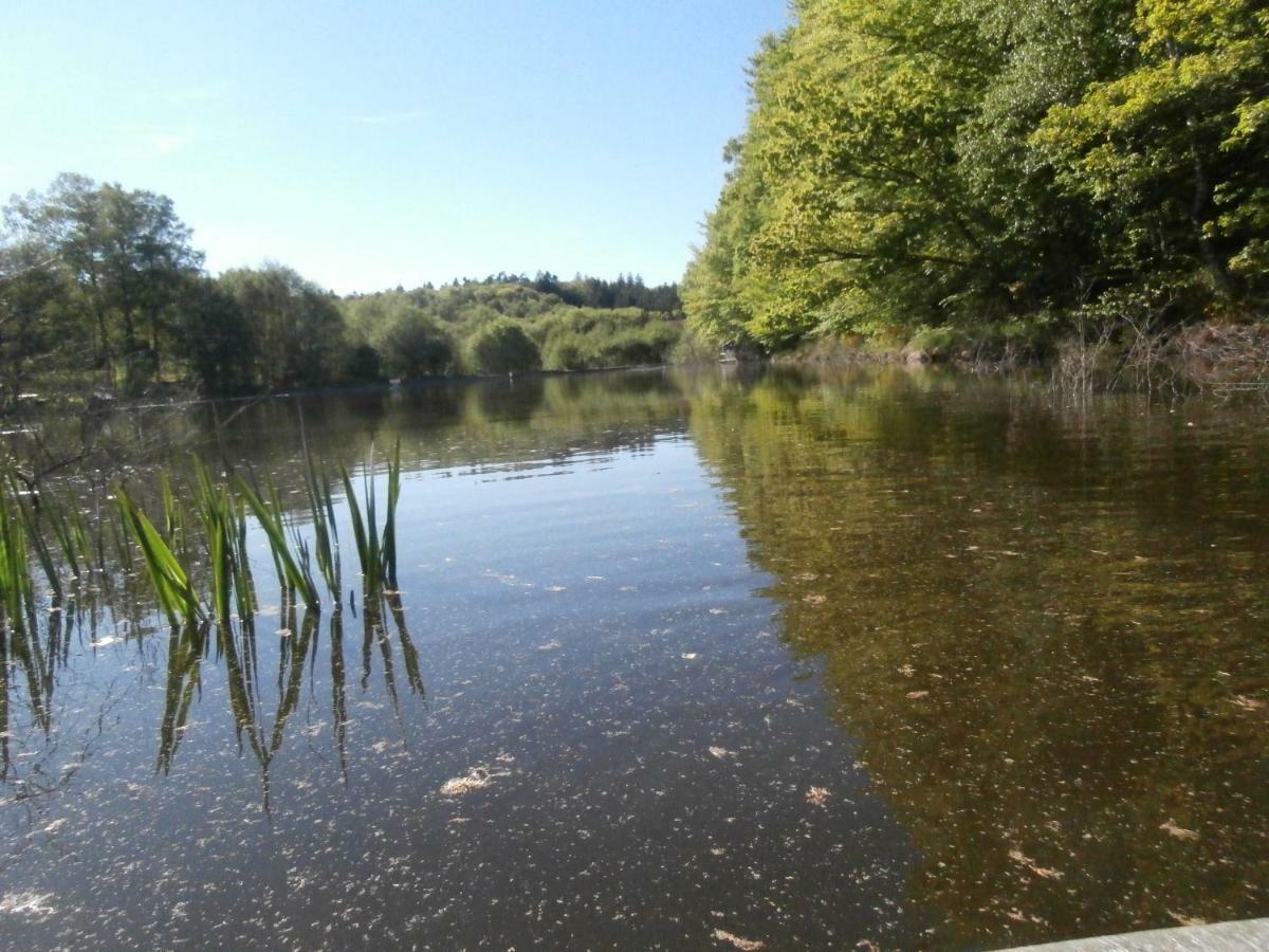 Le Crusoe A L'Etang D'Anty - Appartement Saint-Nabord エクステリア 写真